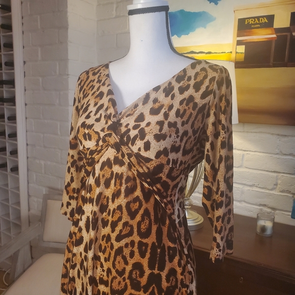 Leopard Print Dress Fall - Picture 3 of 4